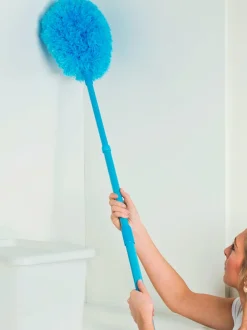 Brosse à poussière manche télescopique